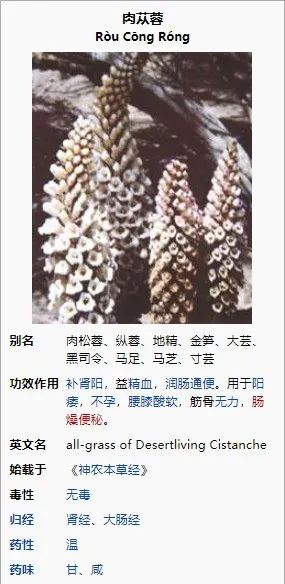 网红催便茶_黑暗料理王网红,_窜稀配方